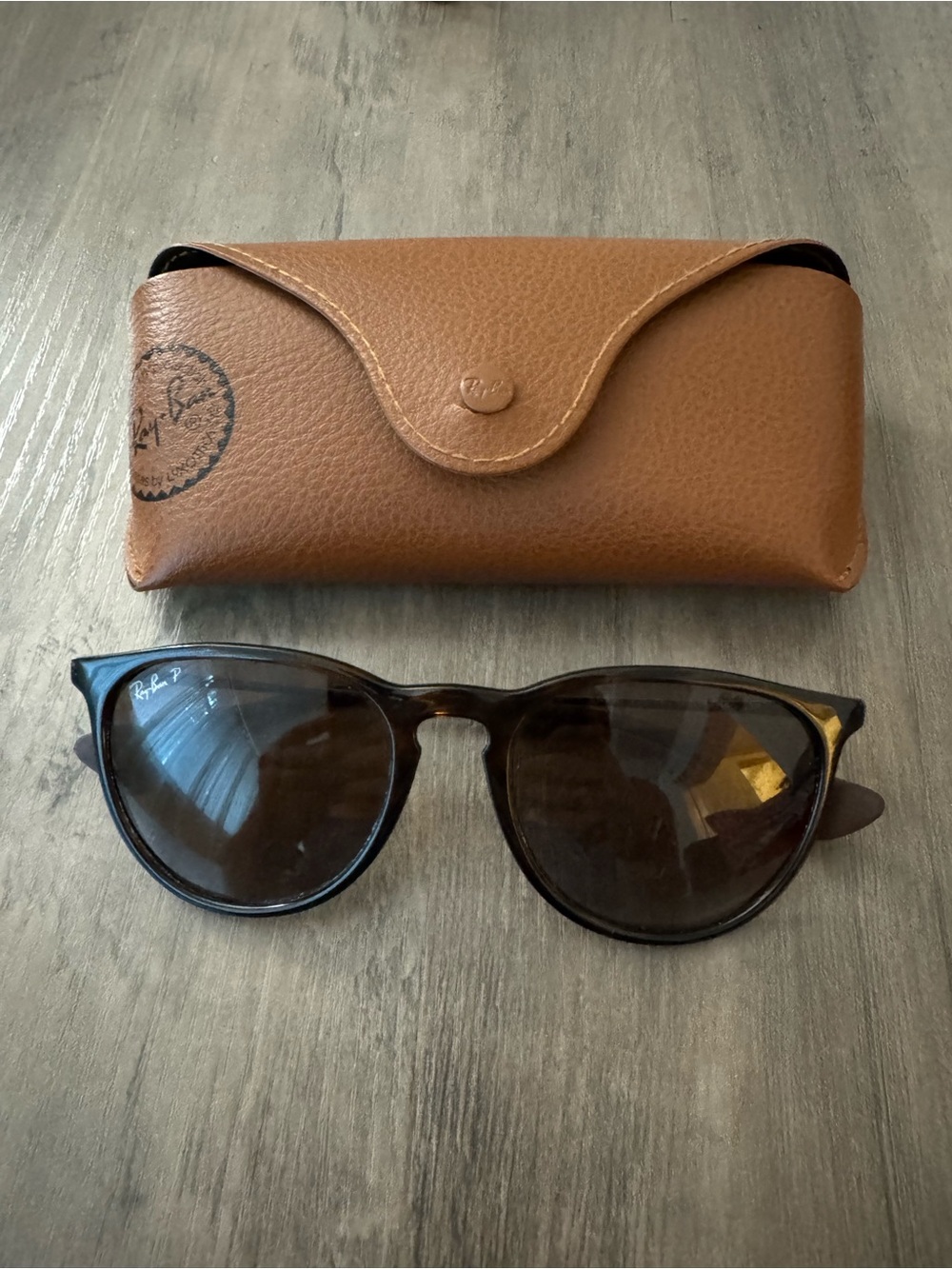 Ray-Ban Erika Sunglasses